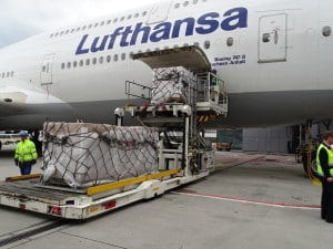 Lufthansa_beds