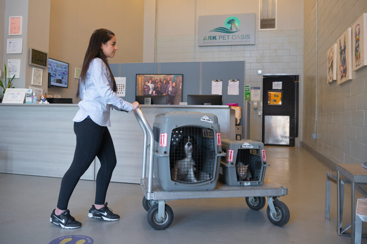 A haven for animal travellers Air Cargo Week